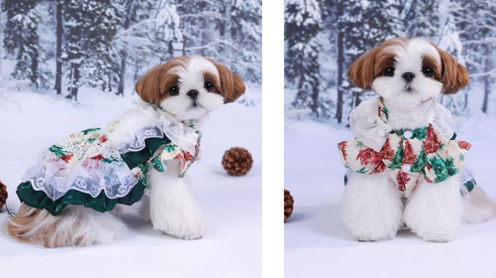 slider image slider_item_qpVJ4g