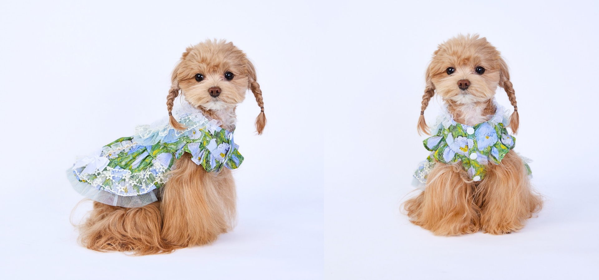 slider image 1621243260e1af0c20-0
