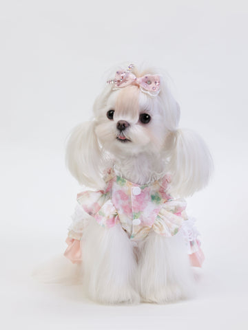 Petal Waltz
