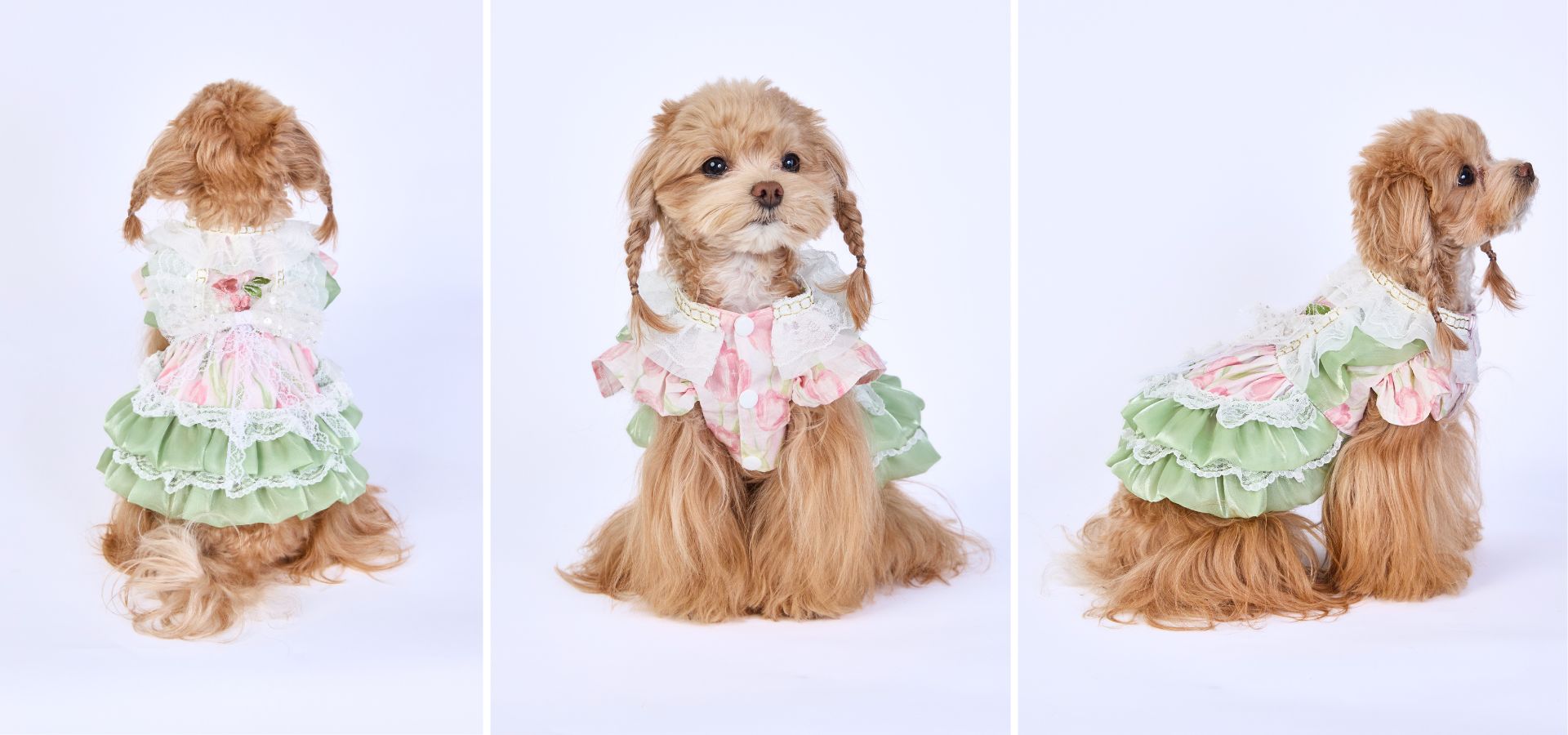 slider image slider_item_DwWJkV