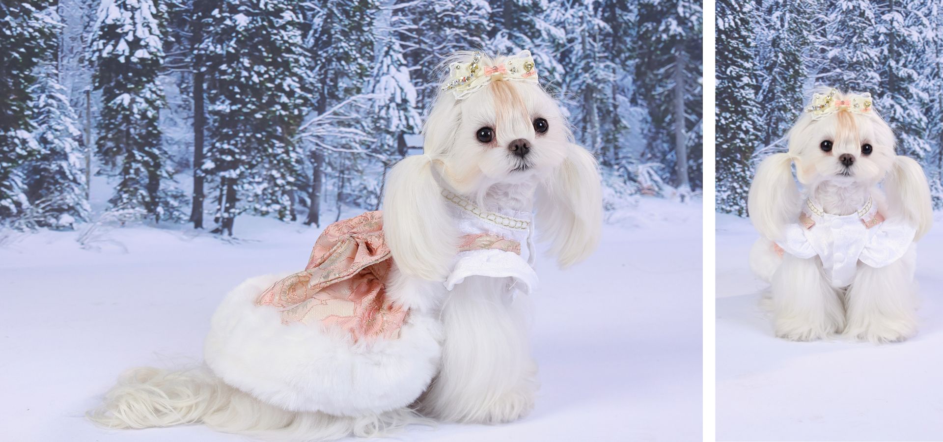 slider image 1621243260e1af0c20-0