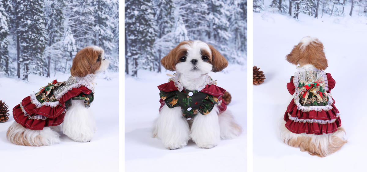 slider image slider_item_DwWJkV