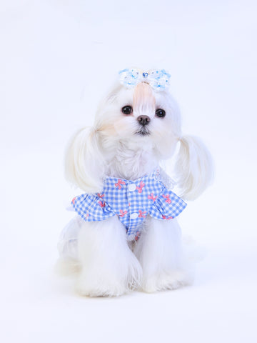 Sugar Belle